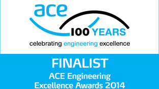 ACE Finalists